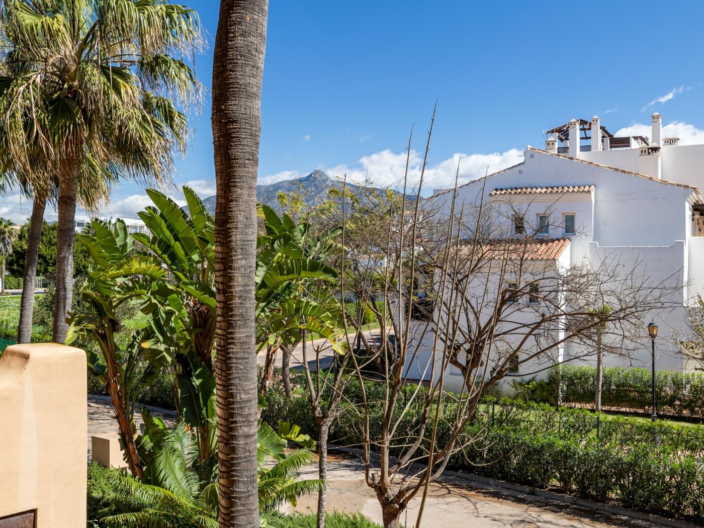 Front line apartment | Bahía Alcántara 6.1.1-21