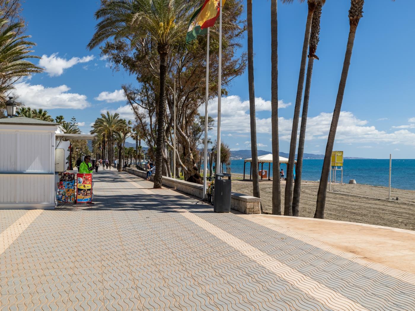 Appartement en première ligne la plage | Bahía Alcántara 6.1.1-38