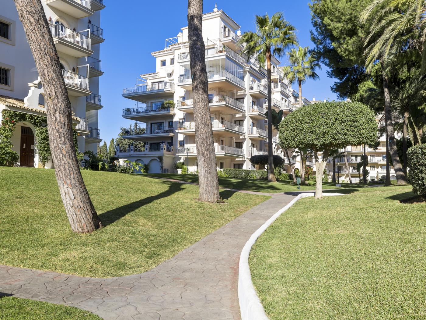 Penthouse in the complex Andalucía del Mar-43