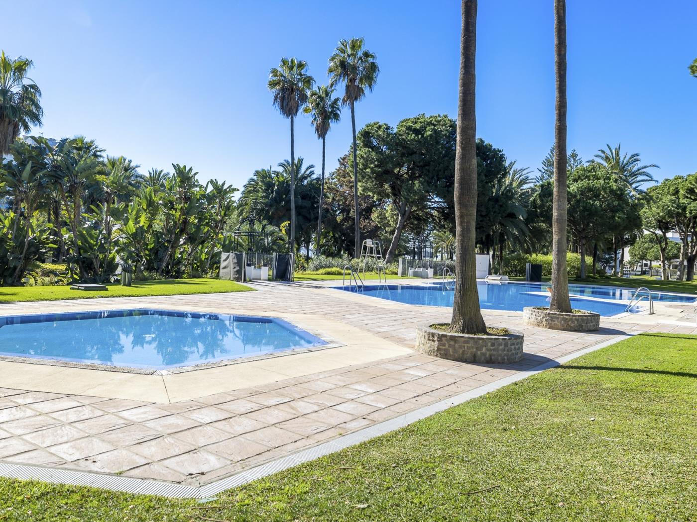 Appartement à Playas del Duque pour 6 personnes| Casa Sevilla 102-30