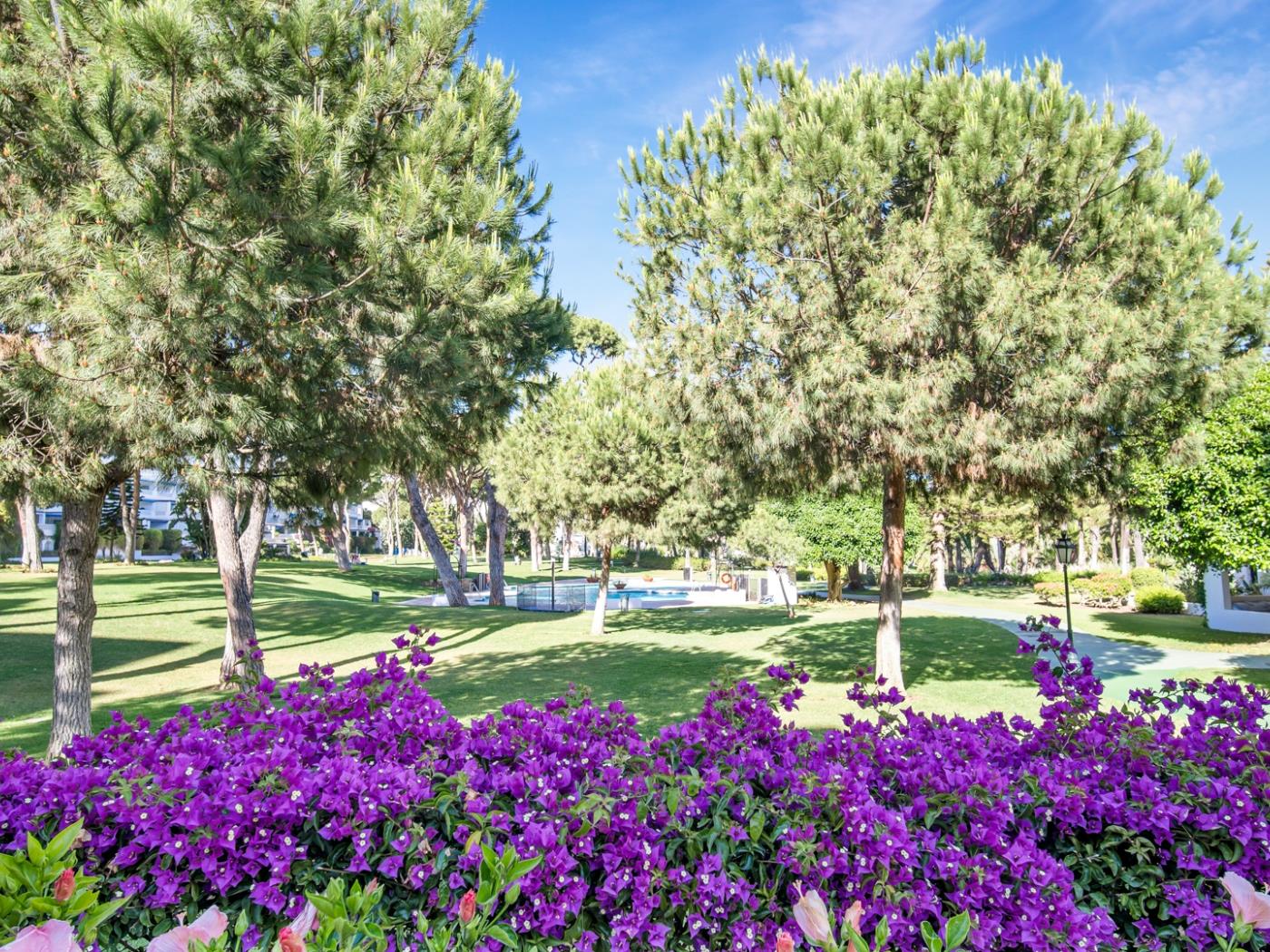 Apartamento en Playas del Duque para 4 personas | Casa Cadiz 208-40