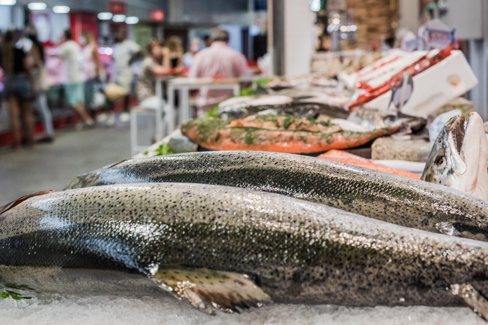 Espetos  Traditional Saltwater Fish Dish From Province of Málaga