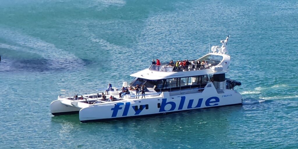FLY BLUE MARBELLA FLY BLUE MARBELLA