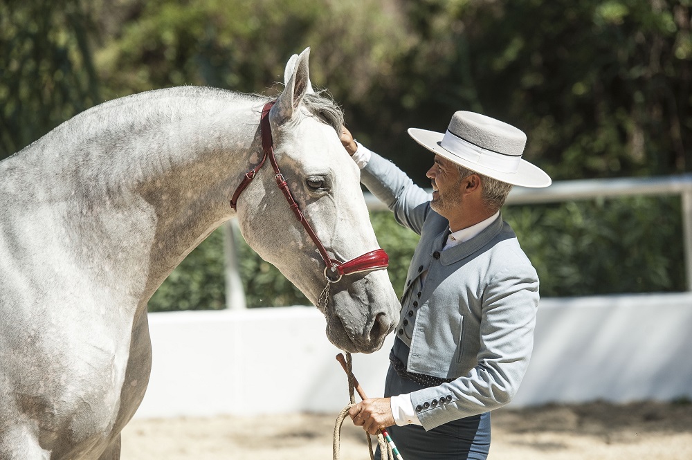 centro hipico el repique marbella​