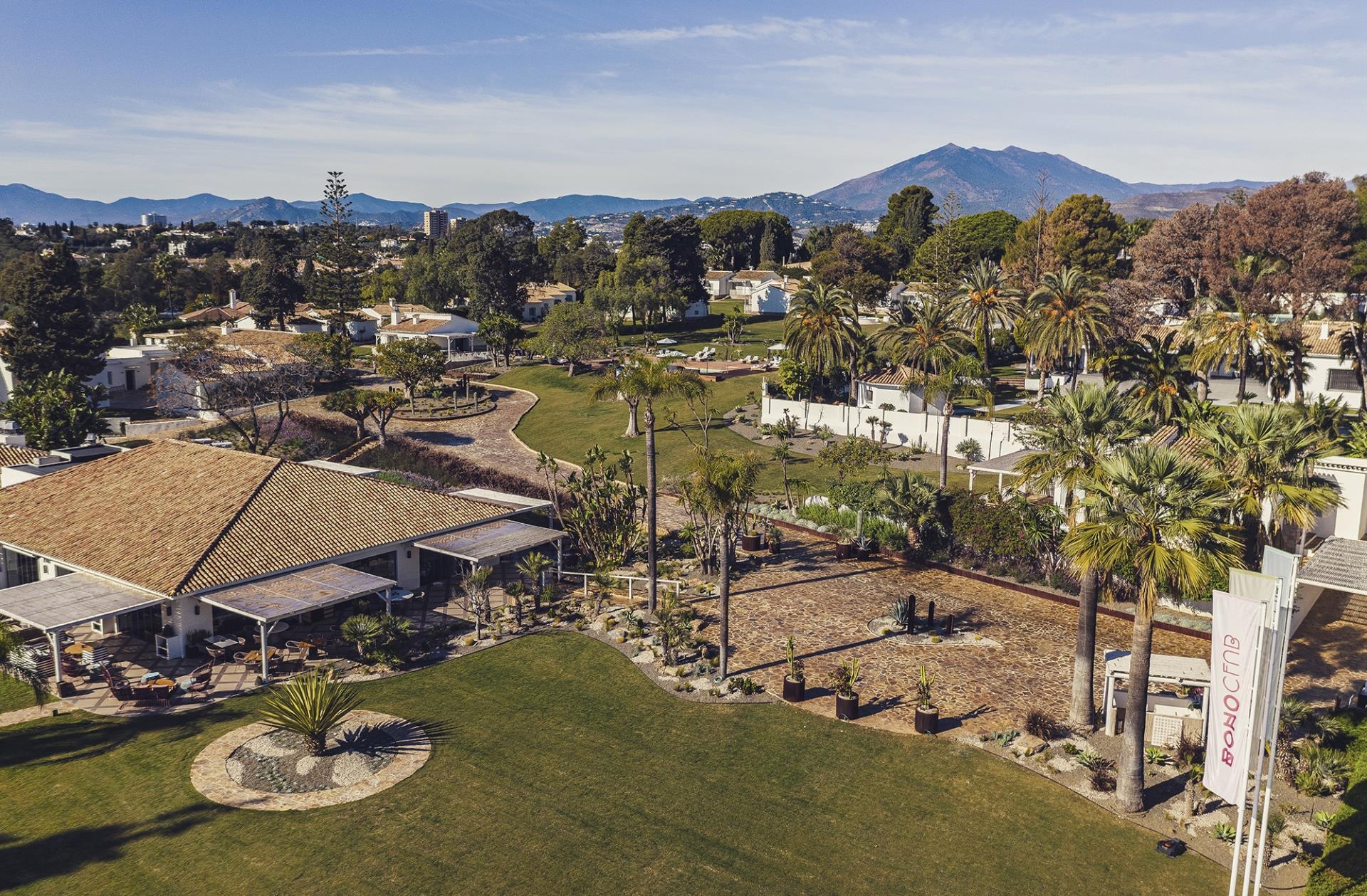 Experience Boho Dining