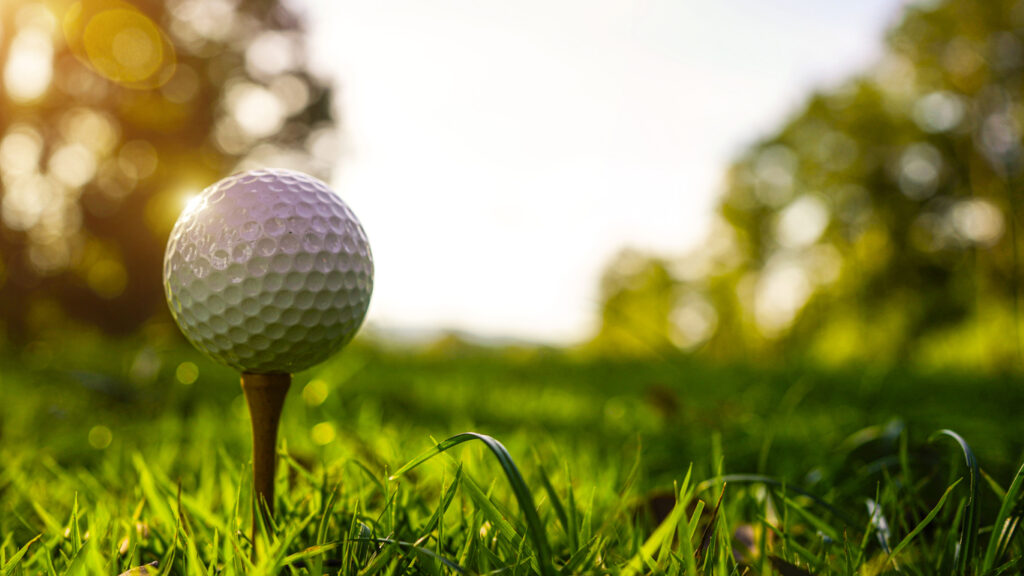 Real Club de Golf Las Brisas