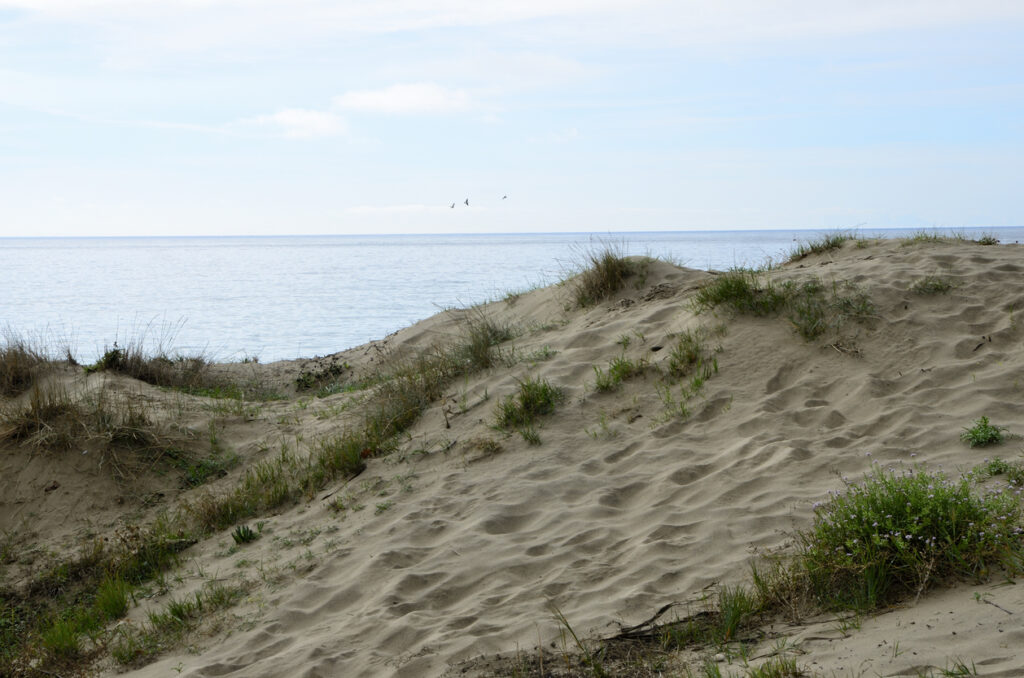 Playa Real de Zaragoza Playa Real de Zaragoza