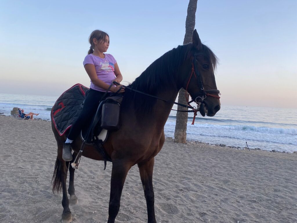 rutas a caballo marbella rutas a caballo marbella