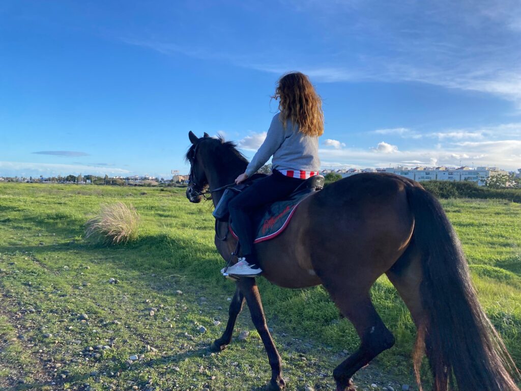 rutas a caballo marbella rutas a caballo marbella