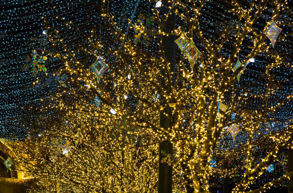 marbella diciembre marbella diciembre