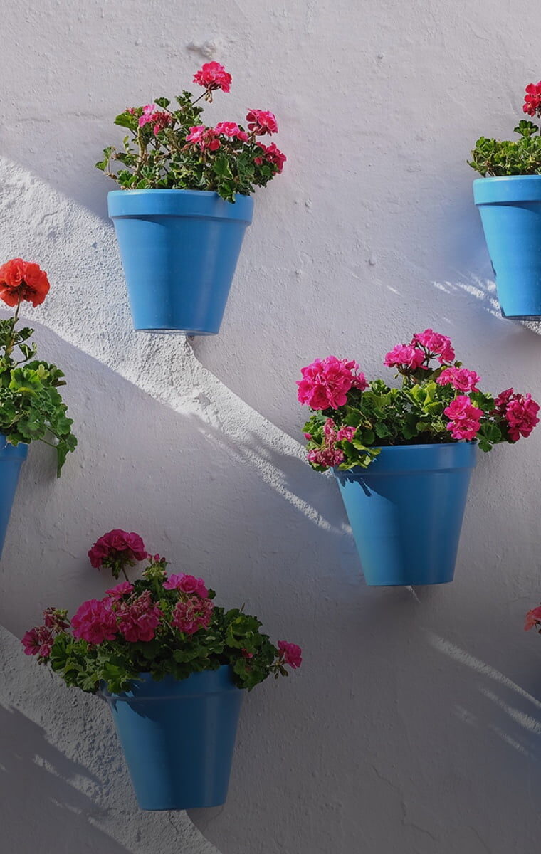 Découvrez l’Andalousie