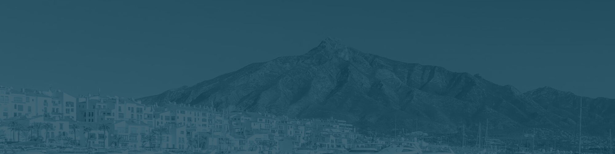 zona_banus zona_banus