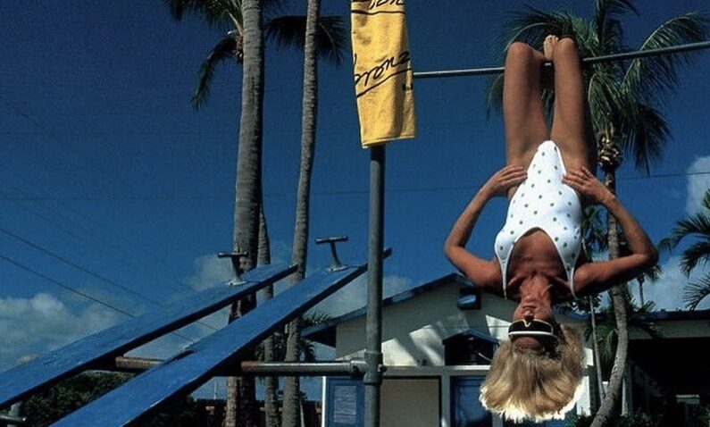 Marbella in January: best activities