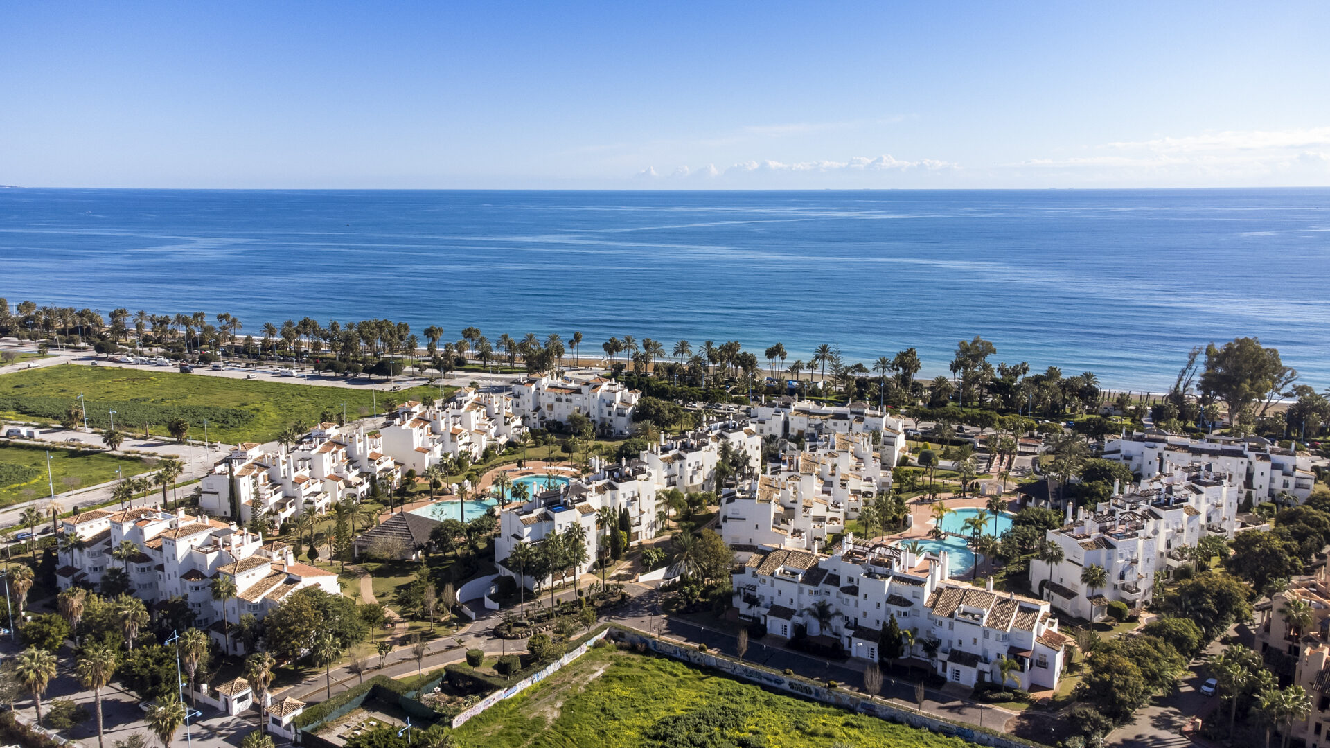 2025.01.18 - Teba - Lola Banus - San Pedro - P10 (1)