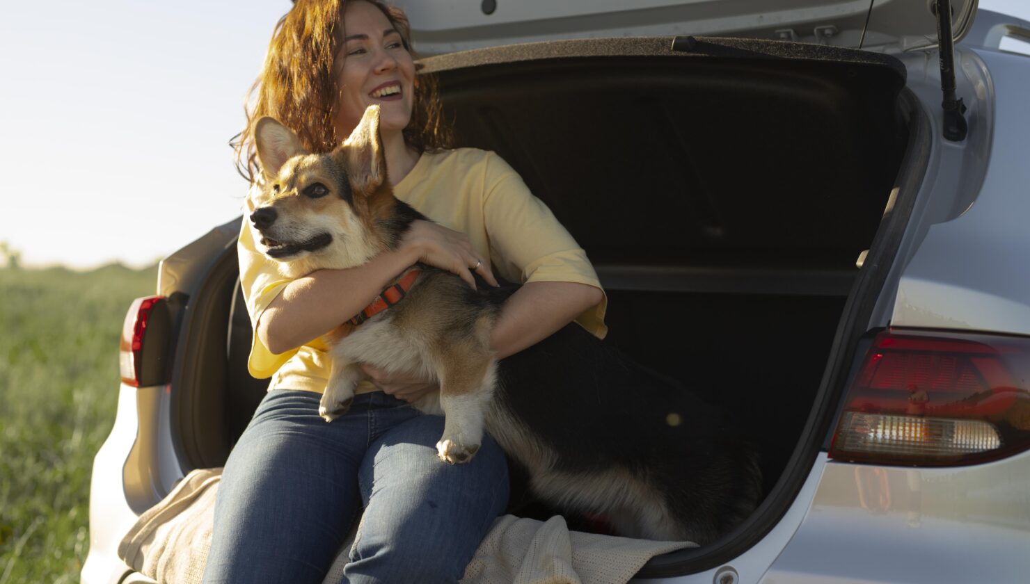 Everything you need to know about pet-friendly holiday rentals