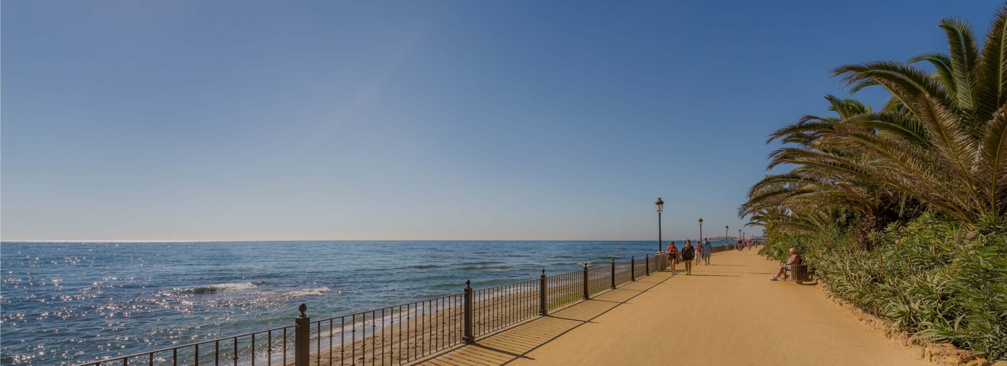 fondo_ofertas_v2 fondo_ofertas_v2