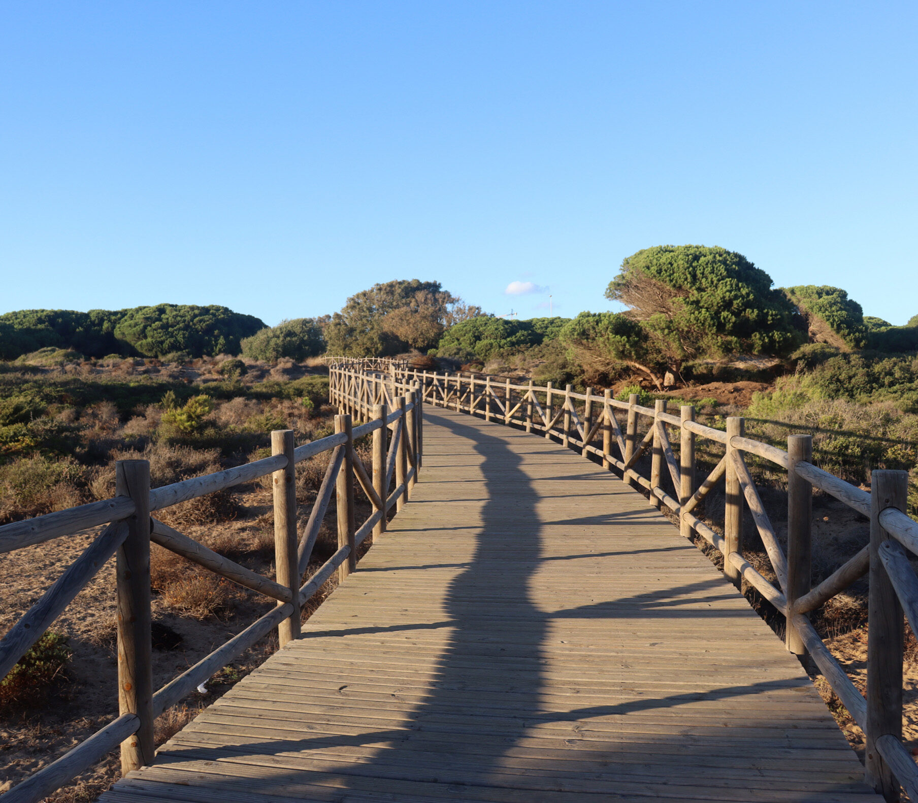 playas_cercanas copia 2