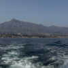 Marbella en agosto, guía completa para un verano inolvidable